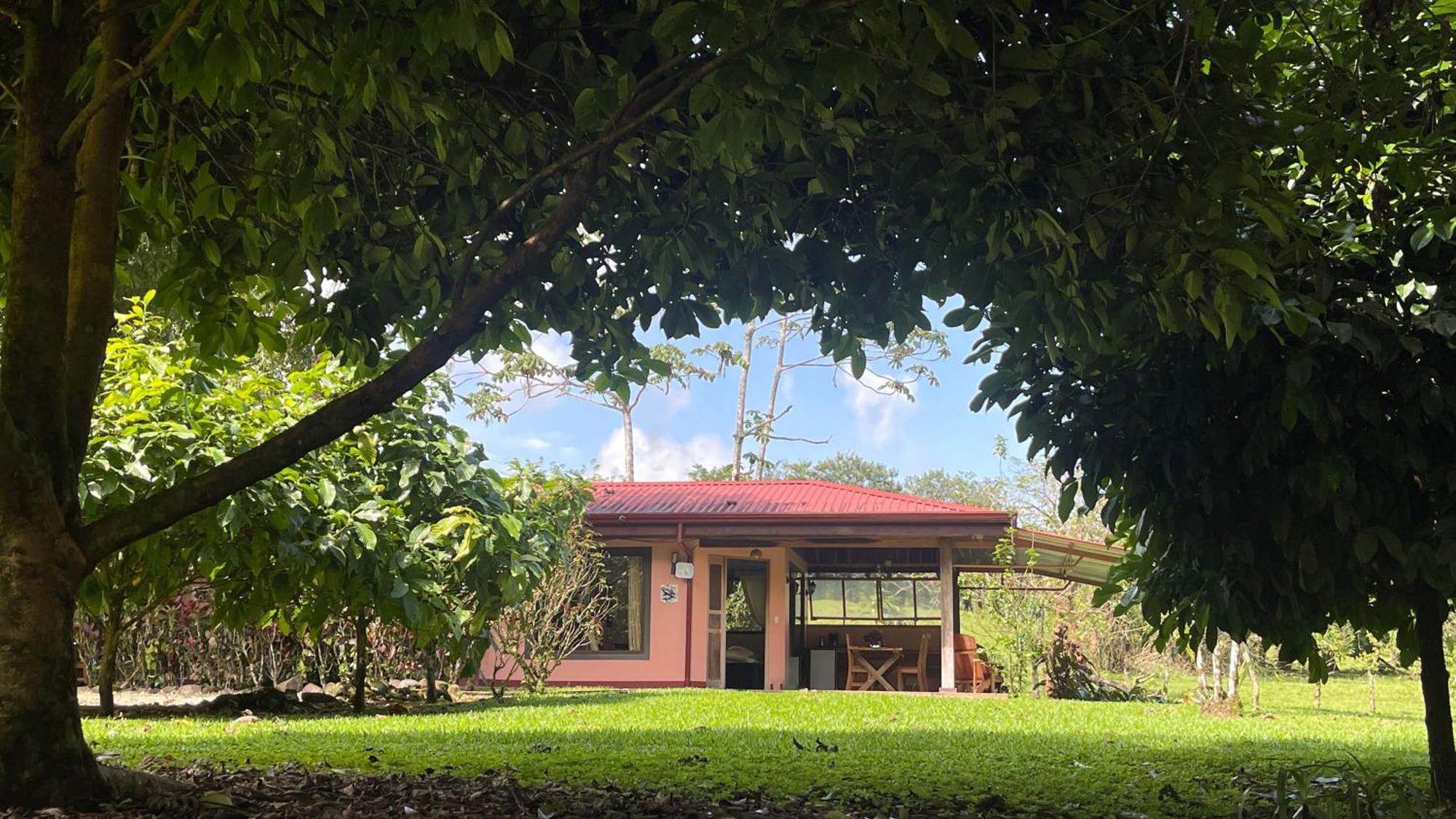 Mei Tai Cacao Lodge Bijagua Exterior photo