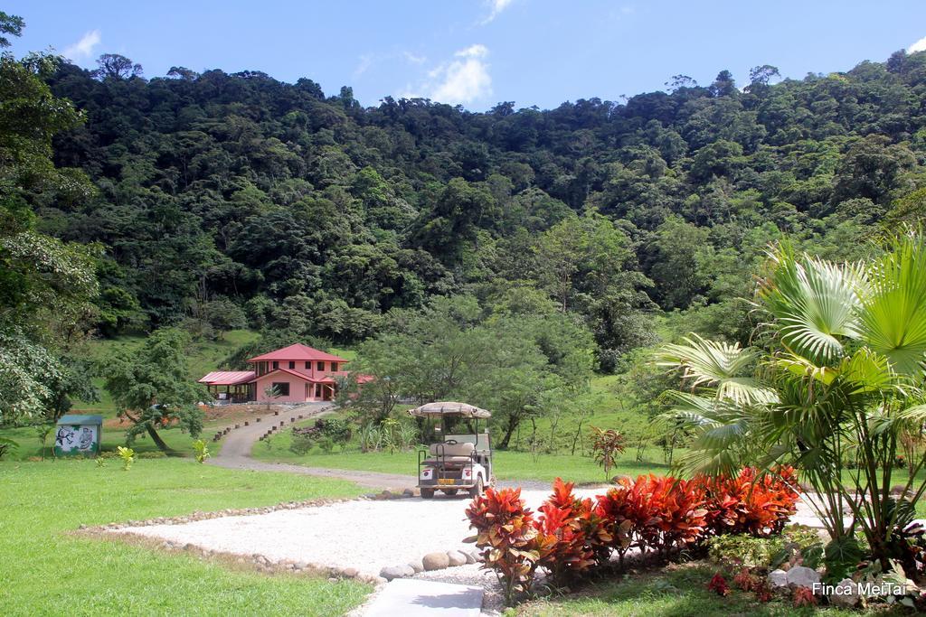 Mei Tai Cacao Lodge Bijagua Exterior photo