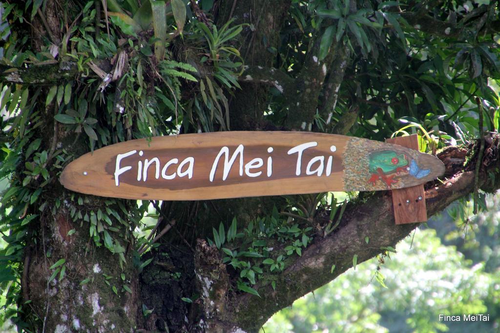 Mei Tai Cacao Lodge Bijagua Exterior photo