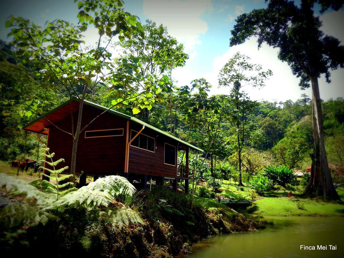 Mei Tai Cacao Lodge Bijagua Exterior photo