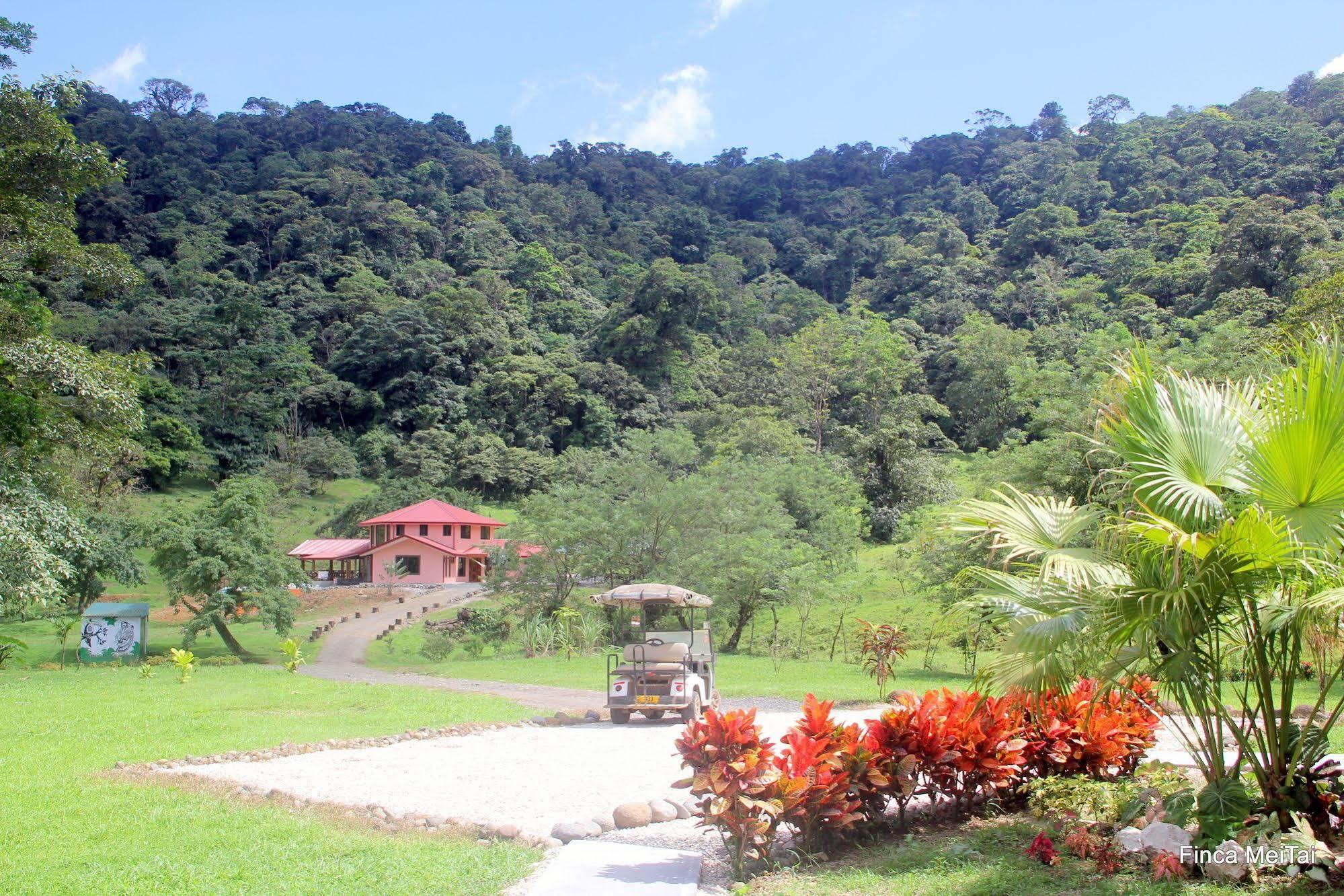 Mei Tai Cacao Lodge Bijagua Exterior photo