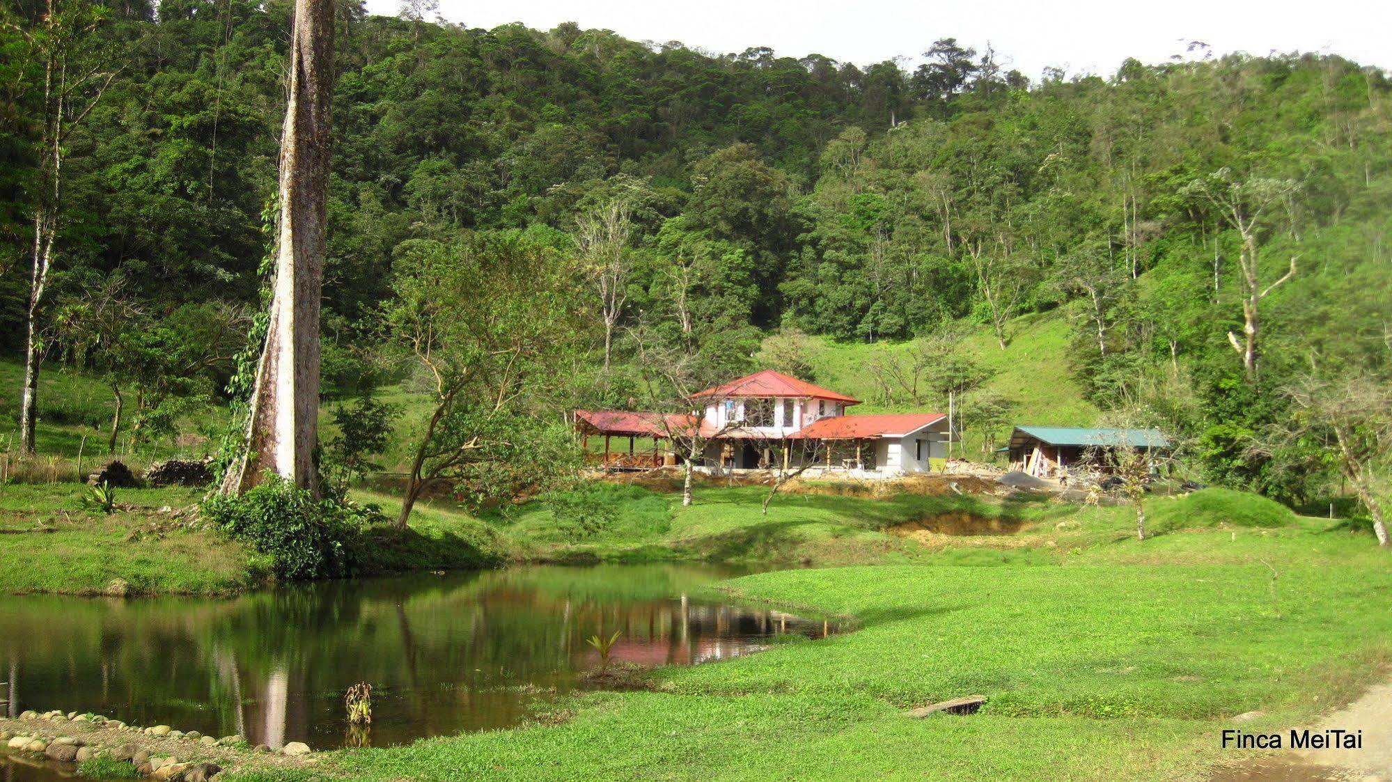 Mei Tai Cacao Lodge Bijagua Exterior photo
