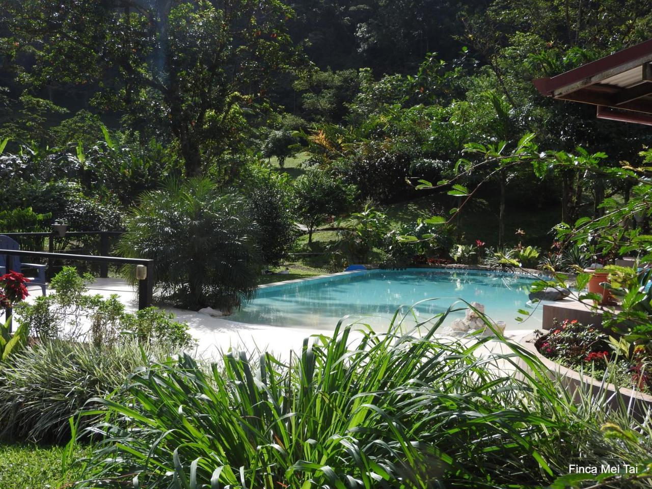 Mei Tai Cacao Lodge Bijagua Exterior photo